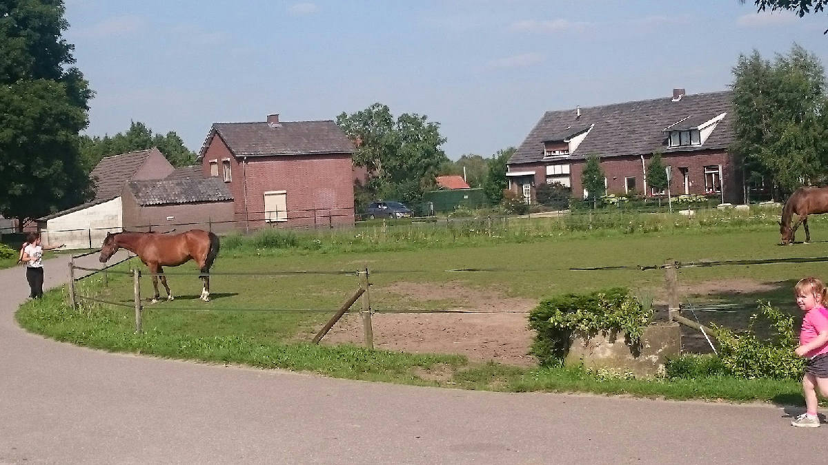 Paardensportcentrum Laar 2
