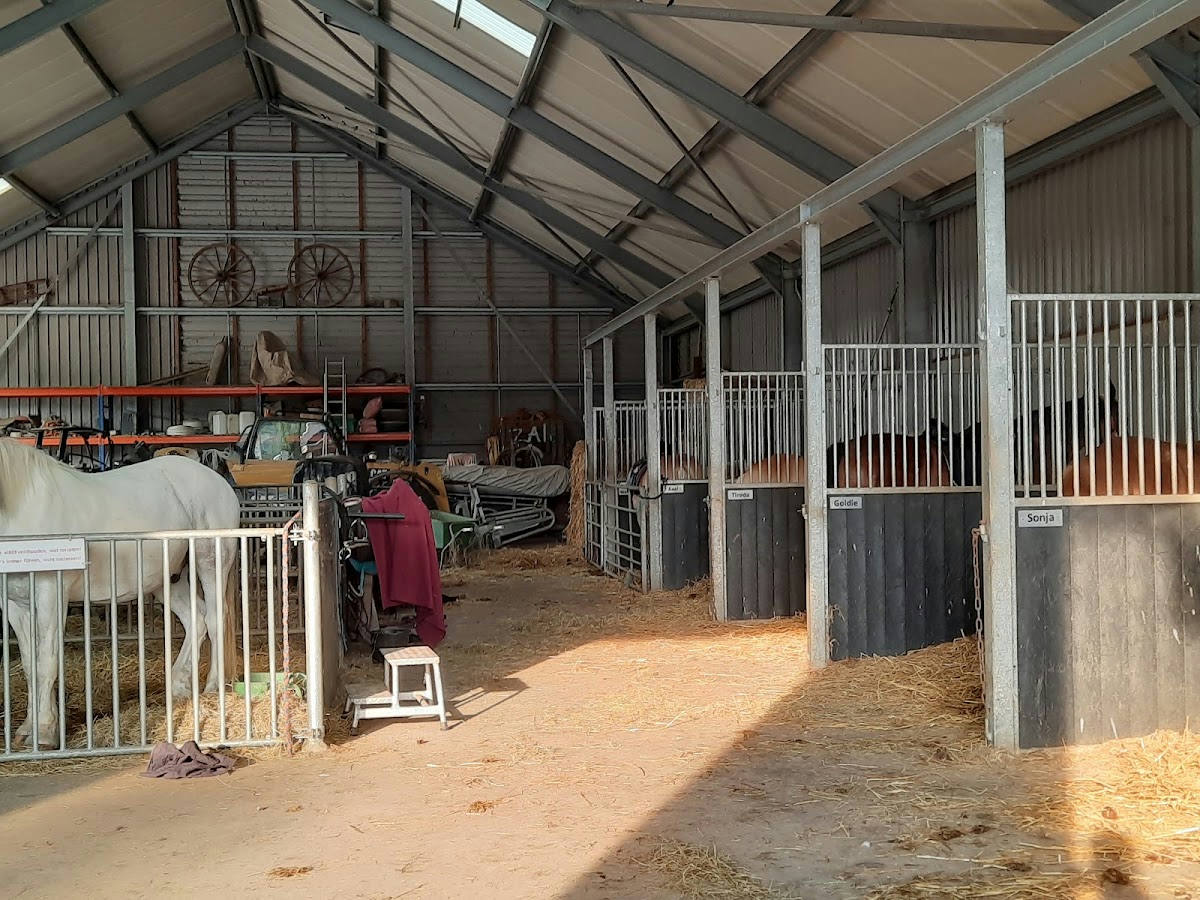 Manege Duno 2