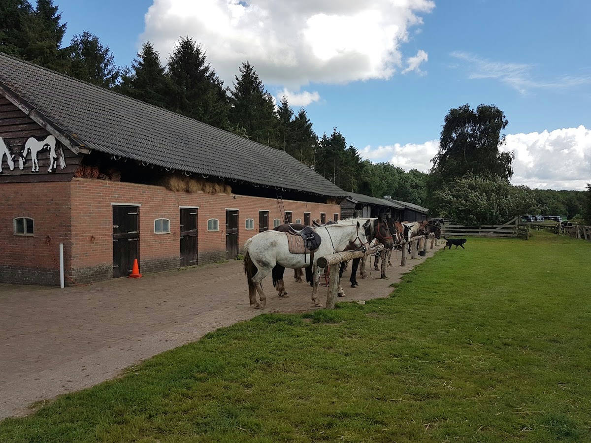 Ruitercentrum het Fjordenpaard 3