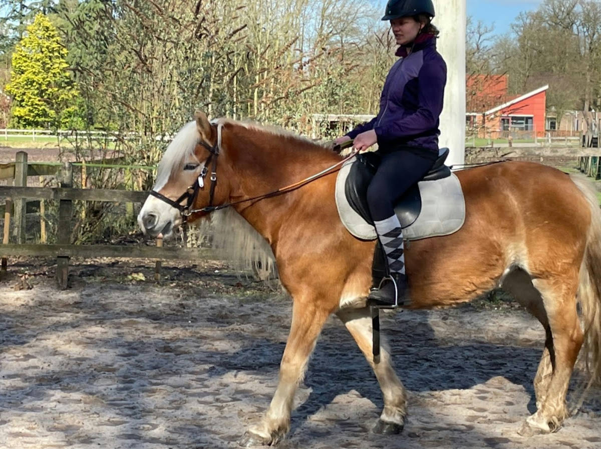 Manege Het Roessingh