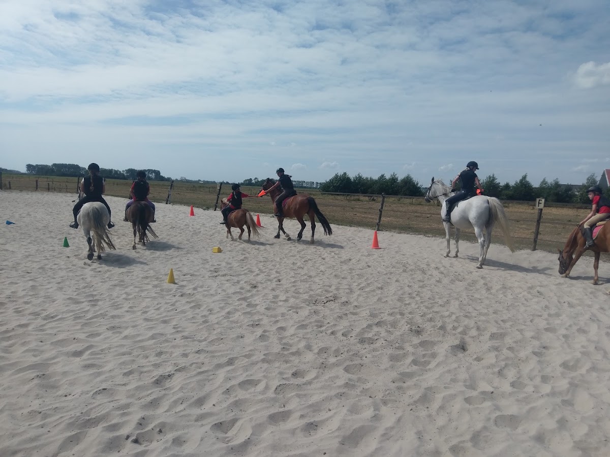 The Horse Farm 3