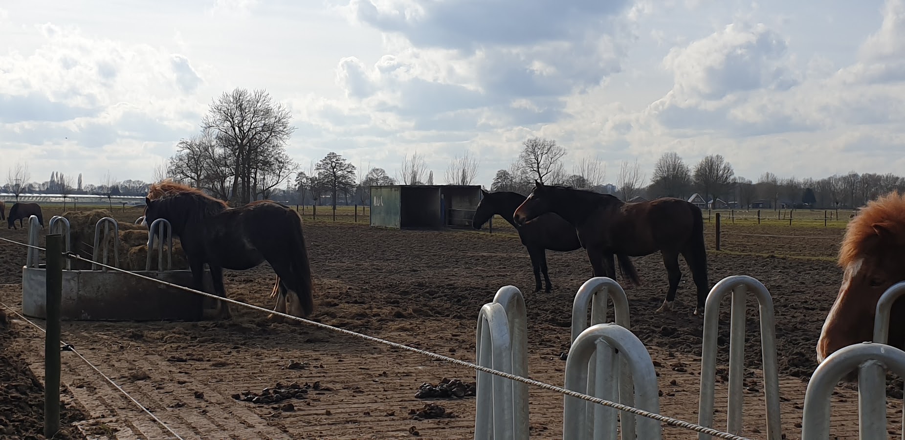 Stal Hoef Hof 3